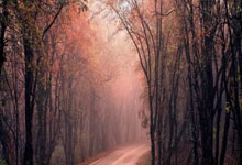 摩纳哥客场挑战圣埃蒂安,势均力敌