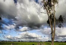 恒大球员信心十足进军亚冠赛场