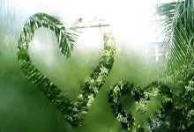 雄鹿双星伤停,球队战力受限