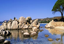 阿森纳球员状态低迷，主帅连夜研究战术